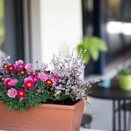 Il Vigneto Bed & Breakfast Melano