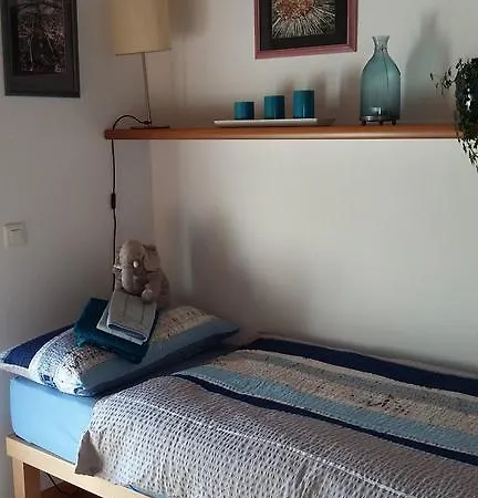 Il Vigneto