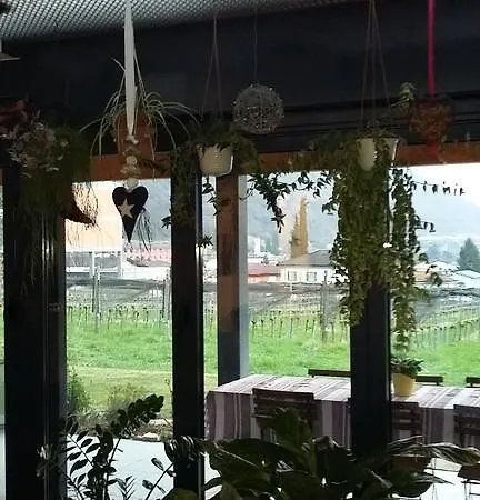 Alojamento de Acomodação e Pequeno-almoço Il Vigneto