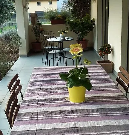 Alojamento de Acomodação e Pequeno-almoço Il Vigneto 3*